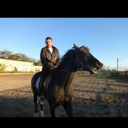 ���������� ������ ���, ���� ������� ���������, 49 ���, ������������ ��� ����� � ���������, c�������� ���������