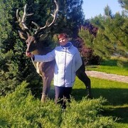 ���������� ��������, ���� ������� �����, 60 ���, ������������ ��� ������, ����� � ���������, c�������� ���������