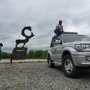  -,   , 31 ,   ,   , c 