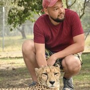 ���������� ����� �������, ������� ������, 36