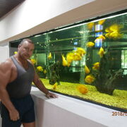 ���������� �������, ���� ������� ������, 55 ���, ������������ ��� ����� � ���������