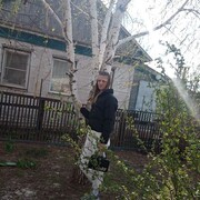 ���������� ���������, ������� ��������, 34