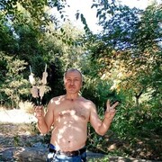  --,   , 48 ,   ,   