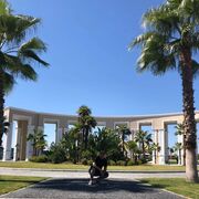 ���������� �����������, ���� ������� ������, 38 ���, ������������ ��� ������, ����� � ���������