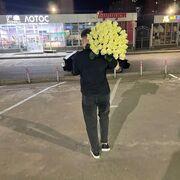 ���������� ���������, ���� ����� �����, 24 ����, ������������ ��� ������, ����� � ���������, ���������