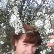  ,   , 48 ,  
