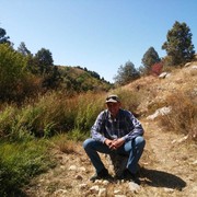 ,   , 51 ,   ,   , c 