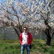 ���������� �������, ���� ������� �������, 44 ����, ������������ ��� ������, ����� � ���������, c�������� ���������