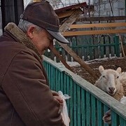  ,   , 68 ,   ,   , c 