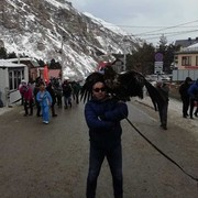 ���������� �������, ���� ������� �����, 40 ���, ������������ ��� ������, ����� � ���������, c�������� ���������