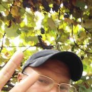 ���������� ���������, ���� ������� Djocer, 46 ���, ������������ ��� ������, ����� � ���������, c�������� ���������