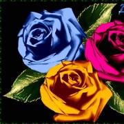  ,   , 36 ,   c , 