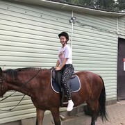 ,   , 20 ,   ,   