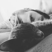 ���������� ����, ���� ������� ����, 33 ����, ������������ ��� ������, ����� � ���������