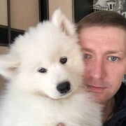 ���������� �����������, ���� ������� �������, 37 ���, ������������ ��� ����� � ���������, c�������� ���������