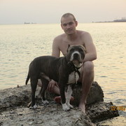 ���������� ������, ���� ������� ������, 38 ���, ������������ ��� ������, ����� � ���������, c�������� ���������