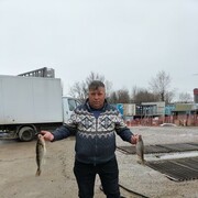 ���������� ������, ���� ������� Dervis, 52 ����, ������������ ��� ������, ����� � ���������