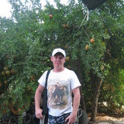 ,   Artem, 41 ,   ,   , c 