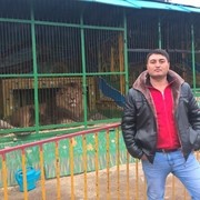  ,   DIMA, 36 ,   ,   , c 
