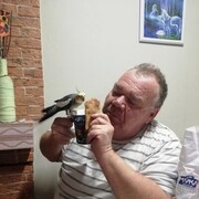  ,   , 60 ,   c 