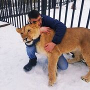 ���������� ������, ���� ������� �����, 38 ���, ������������ ��� ������, ����� � ���������