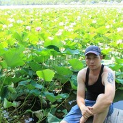 ���������� �����-���������, ���� ������� ����, 42 ����, ������������ ��� ������, ����� � ���������, c�������� ���������