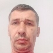 Jelcz,  , 51