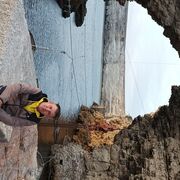 ���������� �������, ���� ������� ����, 42 ����, ������������ ��� ������, ����� � ���������, c�������� ���������