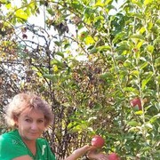 ���������� �������, ���� ������� ��������, 62 ����, ������������ ��� c�������� ���������, ���������