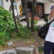 ���������� �����������, ���� ������� ������, 41 ���, ������������ ��� ������, ����� � ���������, c�������� ���������