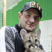 ���������� ���������, ���� ������� ������, 39 ���, ������������ ��� ����� � ���������, c�������� ���������