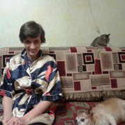 ���������� ���������, ���� ������� ���������, 56 ���, ������������ ��� ������, ����� � ���������, c�������� ���������