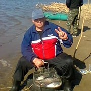  ,   , 55 ,   