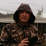 ���������� ������, ���� ������� ILNAR, 43 ����, ������������ ��� ������, ����� � ���������