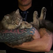 ���������� ������-��-����, ���� ������� ����, 33 ����, ������������ ��� ������, ����� � ���������, c�������� ���������