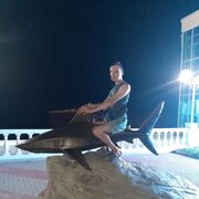 ���������� ���������, ���� ������� ������, 27 ���, ������������ ��� ����� � ���������, ���������