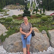  ,  , 65