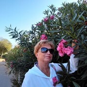  ,   , 57 ,   ,   
