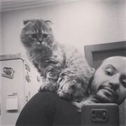  ,   , 33 ,   ,   