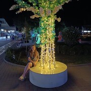 ���������� �������, ���� ������� ������, 36 ���, ������������ ��� ������, ����� � ���������