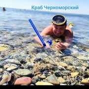  ,   , 50 ,     , c 