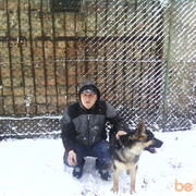 ���������� �������, ���� ������� Goga, 40 ���, ������������ ��� ������, ����� � ���������, c�������� ���������