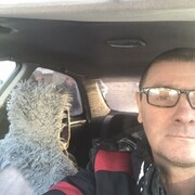 ���������� ������, ���� ������� ��������, 51 ���, ������������ ��� ������, ����� � ���������, c�������� ���������, ���������