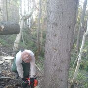  ,   , 66 ,   ,   , c , 