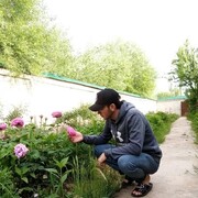 ���������� ����������, ���� ����� ����, 23 ����, ������������ ��� ������, ����� � ���������