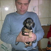 ���������� �������, ���� ������� ����, 56 ���, ������������ ��� ������