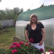  ,   , 51 ,   c 