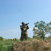 ���������� �������, ���� ������� ������, 50 ���, ������������ ��� ������, ����� � ���������, c�������� ���������