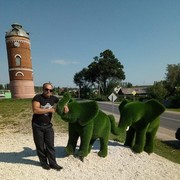 ���������� ����, ������� ����, 45