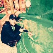 ���������� �����������, ���� ������� ���, 29 ���, ������������ ��� ������